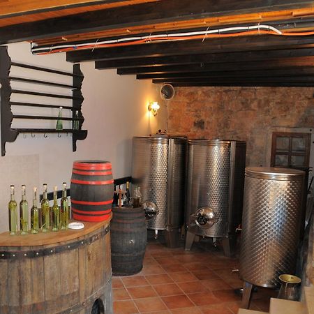 Novigrad Istria Villa Radovan מראה חיצוני תמונה